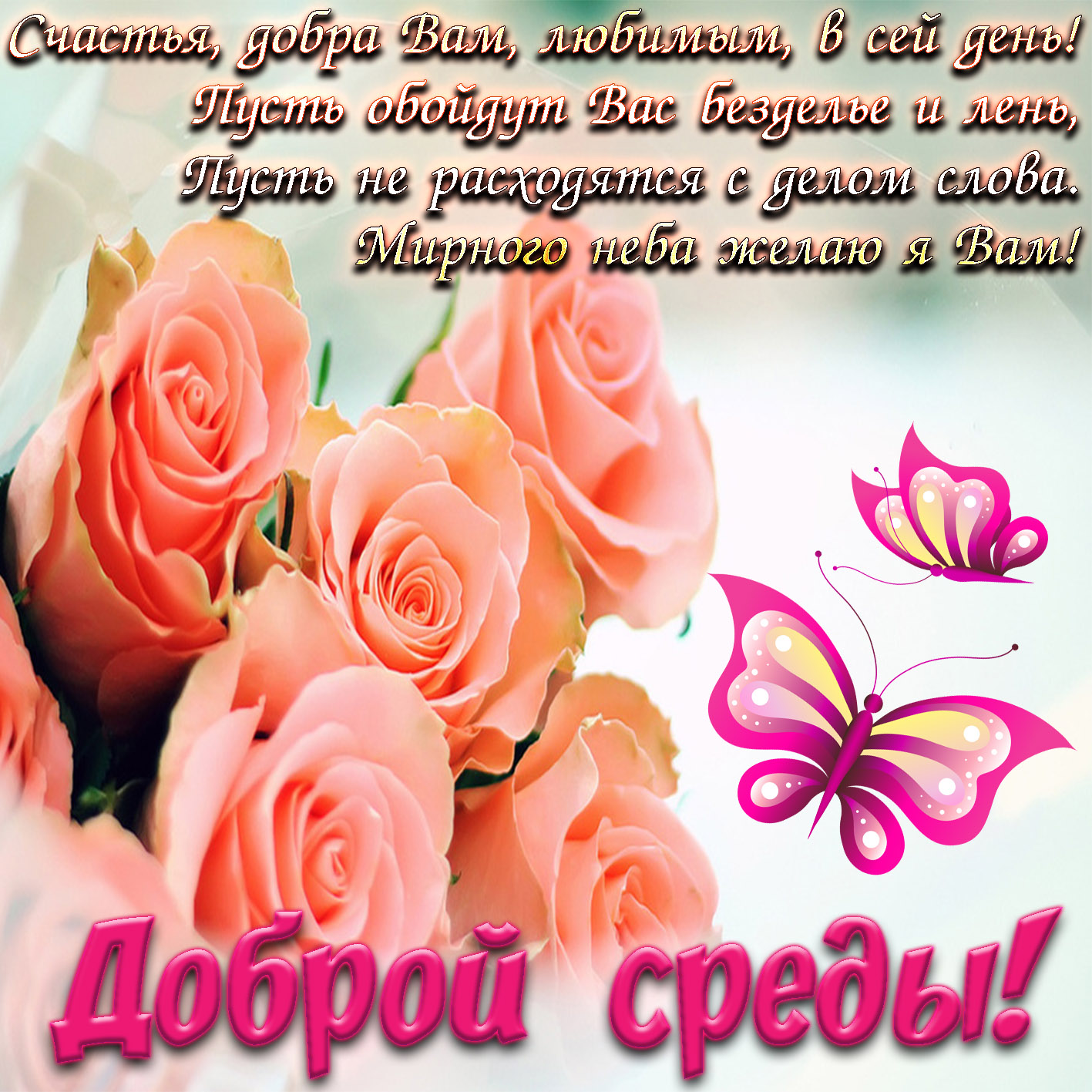 sreda0034.jpg